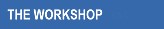 About the Workshop